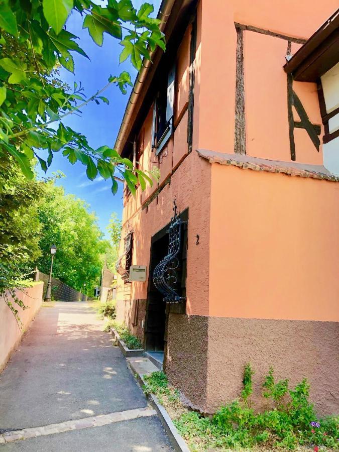 Gite "Rempart Sud" A Ribeauville Exteriér fotografie